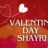 30+Valentine day Shayri in Hindi:वैलेंटाइन डे शायरी हिंदी में